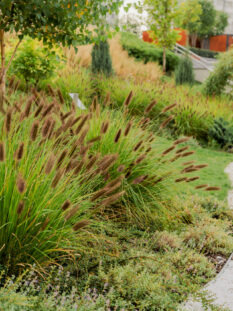 amenagement-paysager-d-un-lieu-public