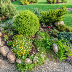 Landscaped summer garden with green plants, rocks, various flowers in flowerbeds, mown grass.