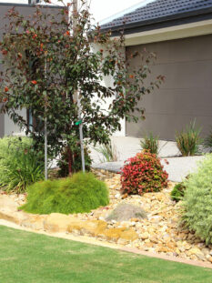 Modern custom built homes in residential neighborhood